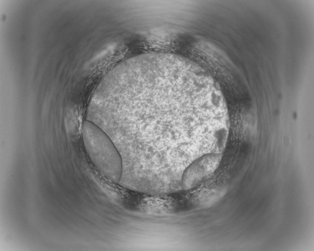 X0000085830703200704091658