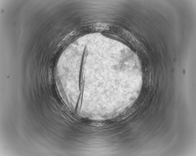 X0000085830704200704091658