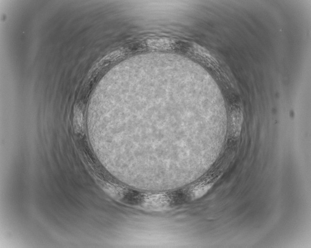 X0000085830705200704091658