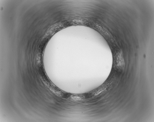 X0000085830706200704091658