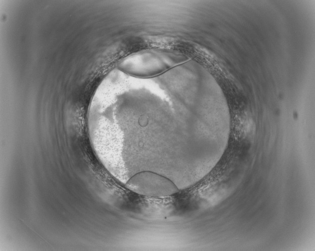 X0000085830707200704091658