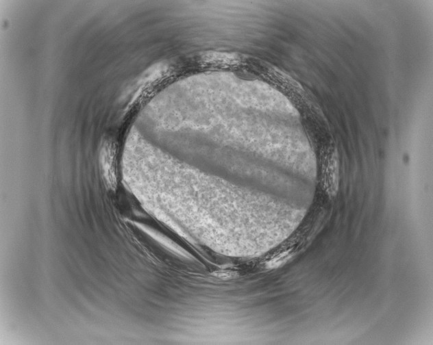 X0000085830708200704091658