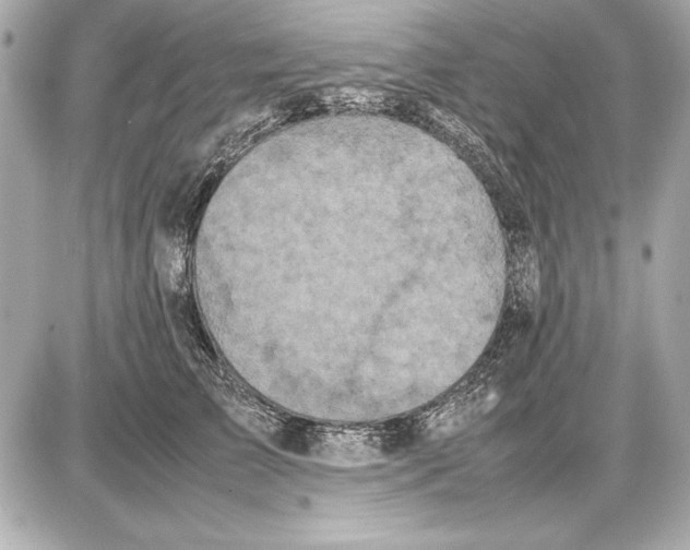 X0000085830709200704091658