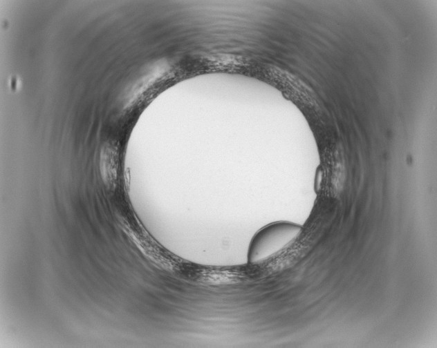 X0000085830710200704091658