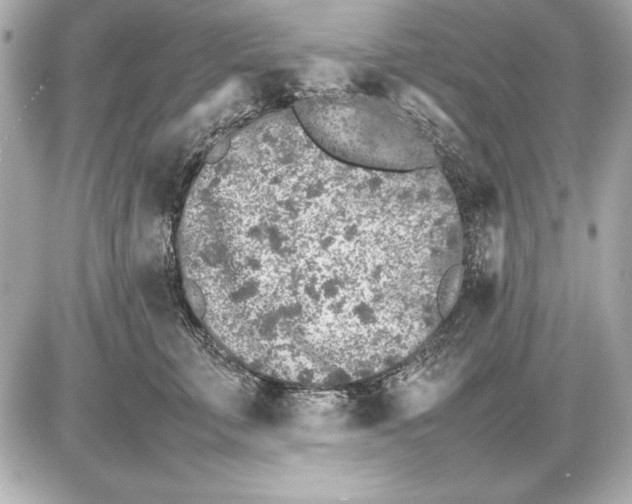 X0000085830711200704091658