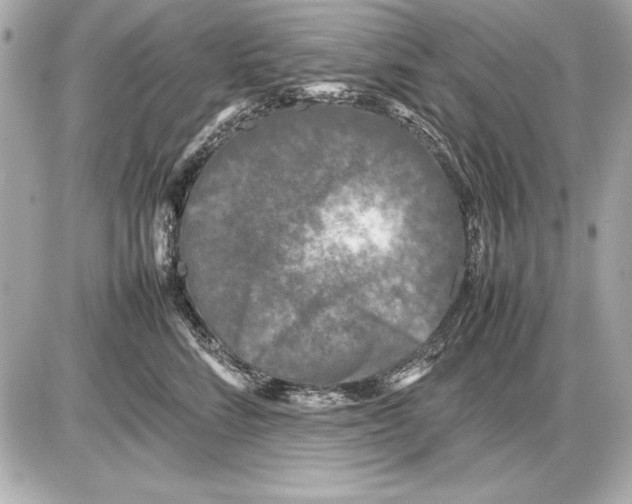 X0000085830712200704091658