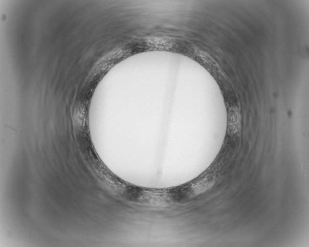 X0000085830713200704091658