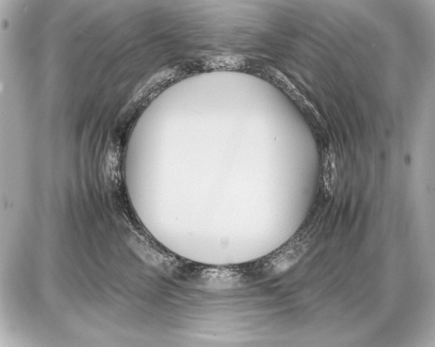 X0000085830714200704091658