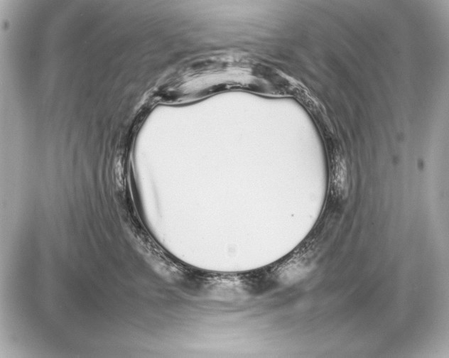 X0000085830715200704091658