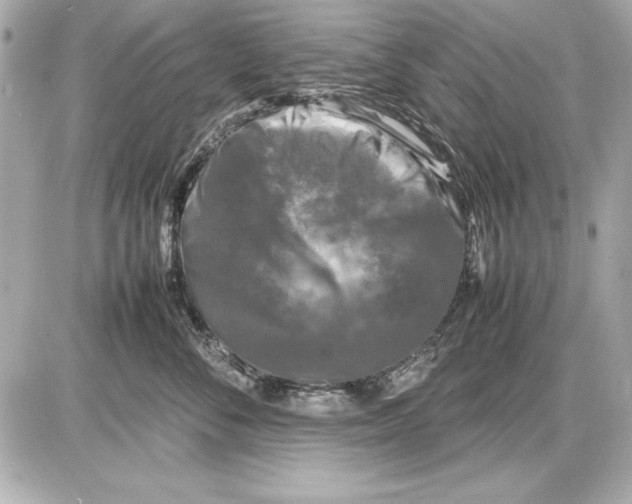 X0000085830716200704091658