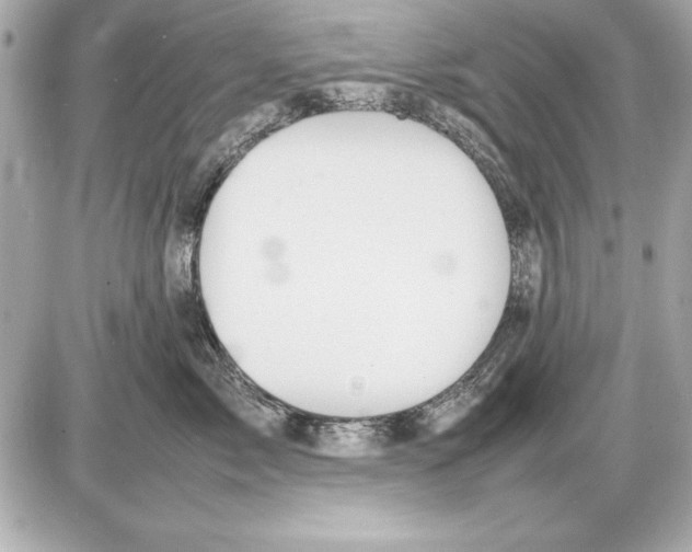 X0000085830717200704091658