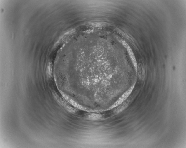 X0000085830718200704091658