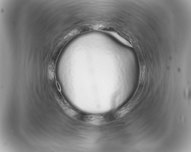 X0000085830719200704091658