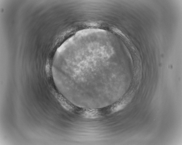 X0000085830720200704091658