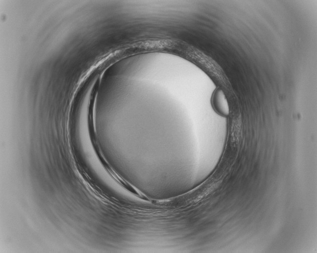 X0000085830722200704091657