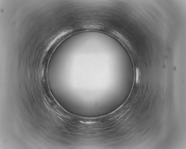 X0000085830723200704091657