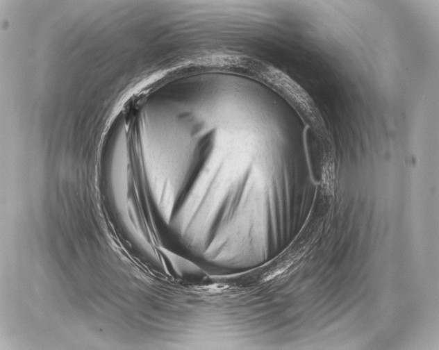 X0000085830724200704091657