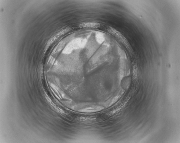 X0000085830725200704091657