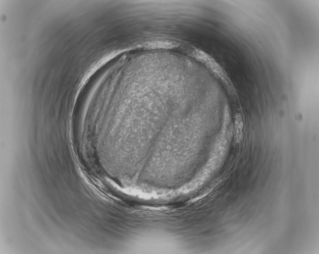 X0000085830726200704091657