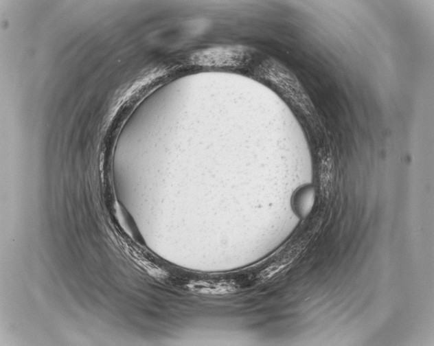 X0000085830727200704091657