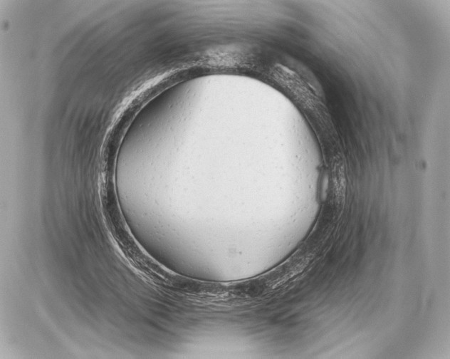 X0000085830728200704091657