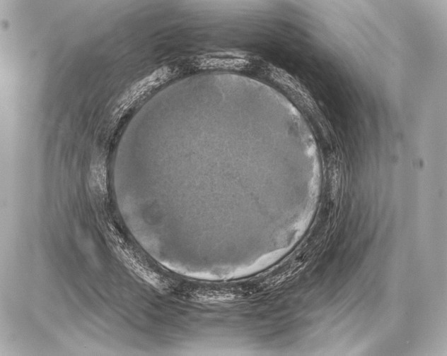 X0000085830729200704091657