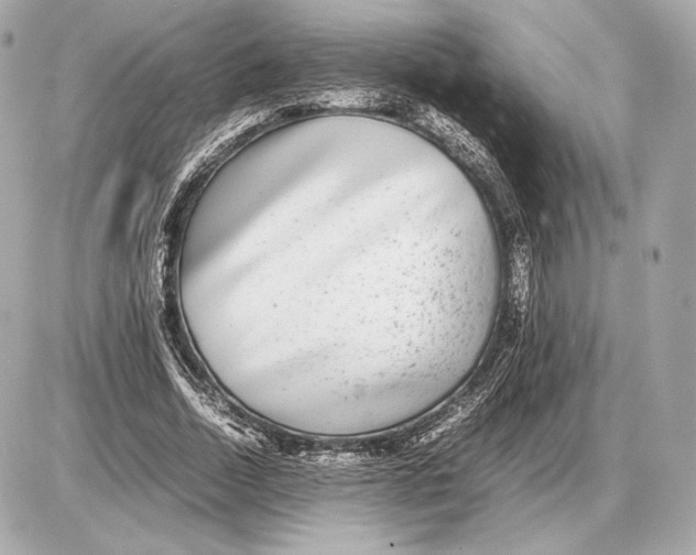 X0000085830730200704091657