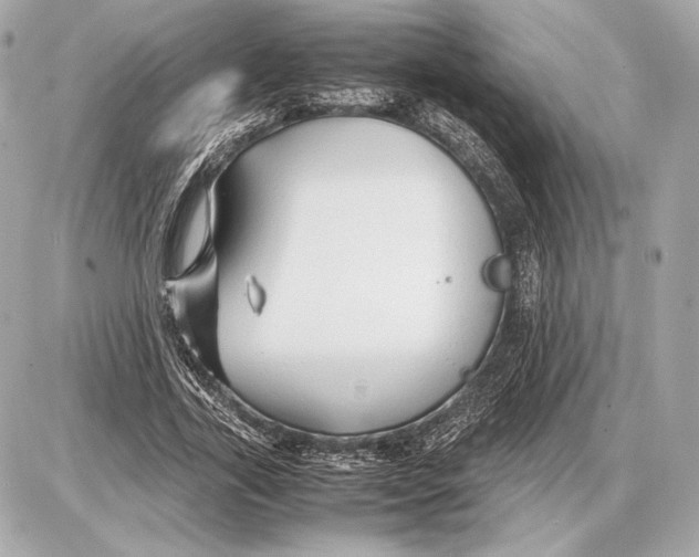 X0000085830731200704091657