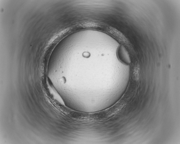 X0000085830732200704091657