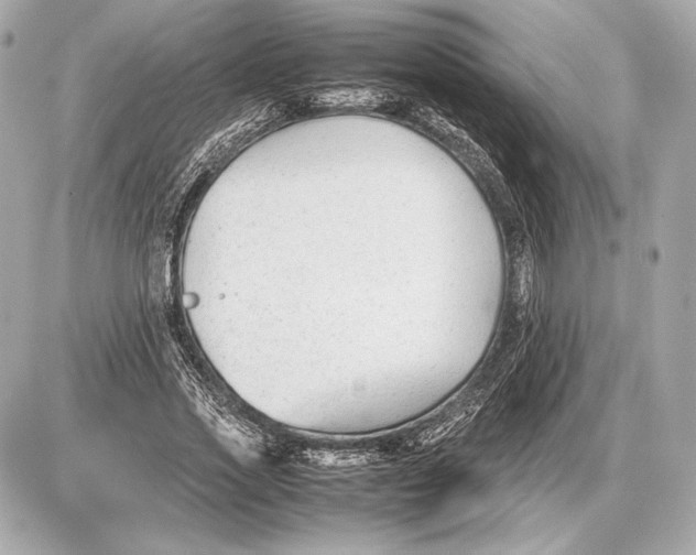 X0000085830733200704091657