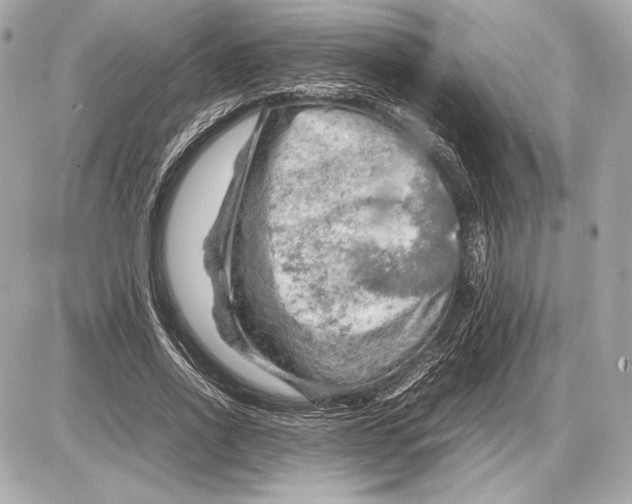 X0000085830734200704091657