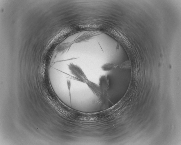 X0000085830735200704091657