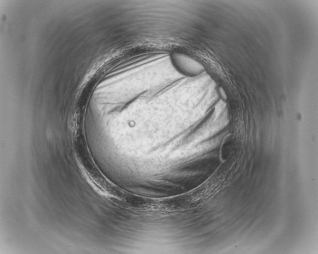 X0000085830736200704091657