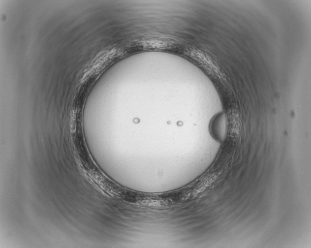 X0000085830738200704091657