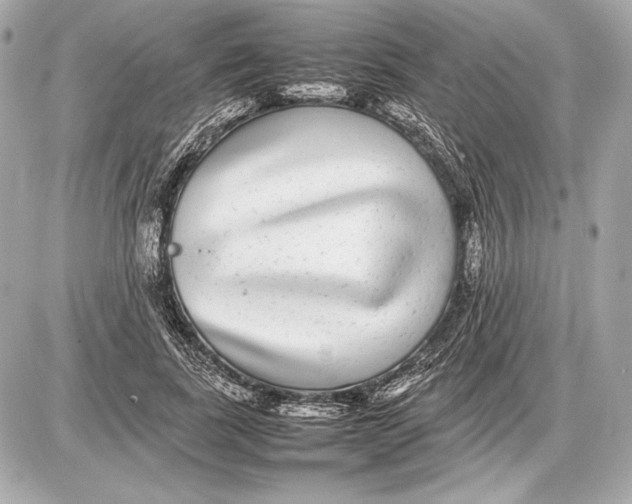 X0000085830739200704091657