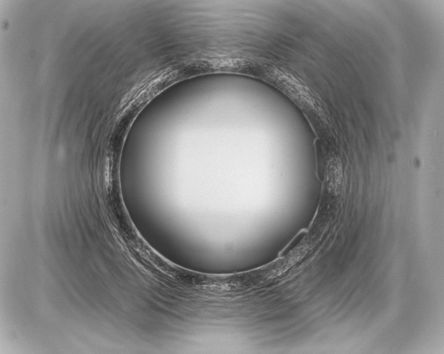 X0000085830740200704091657