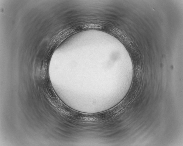 X0000085830741200704091657