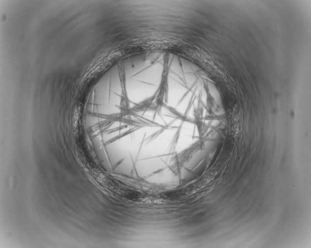 X0000085830742200704091657