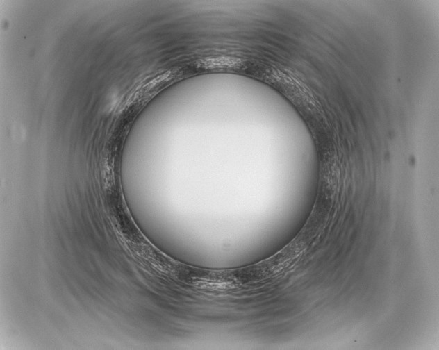 X0000085830743200704091657