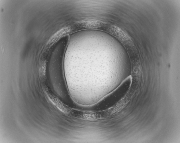 X0000085830744200704091657