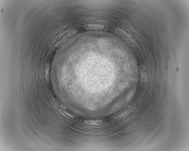 X0000085830745200704091657