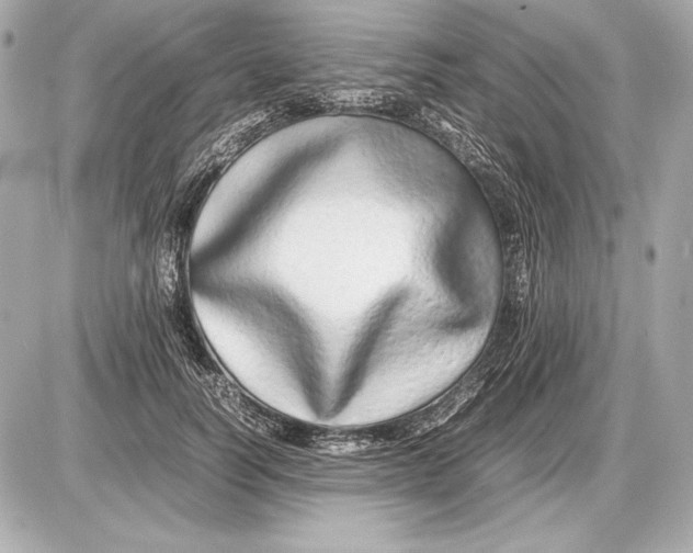 X0000085830746200704091657