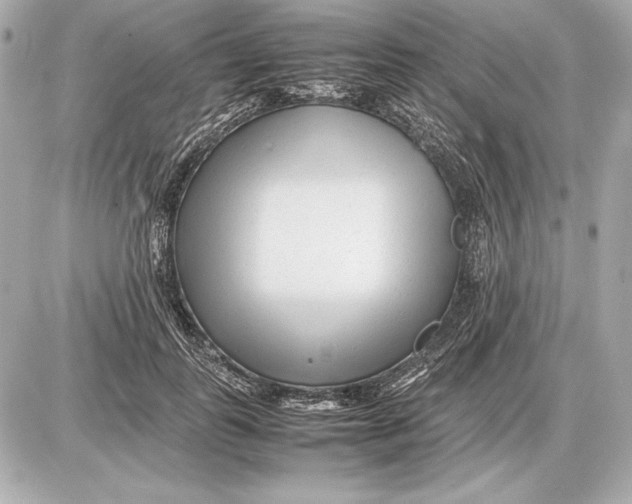 X0000085830747200704091657