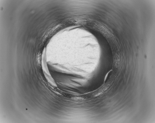 X0000085830748200704091657