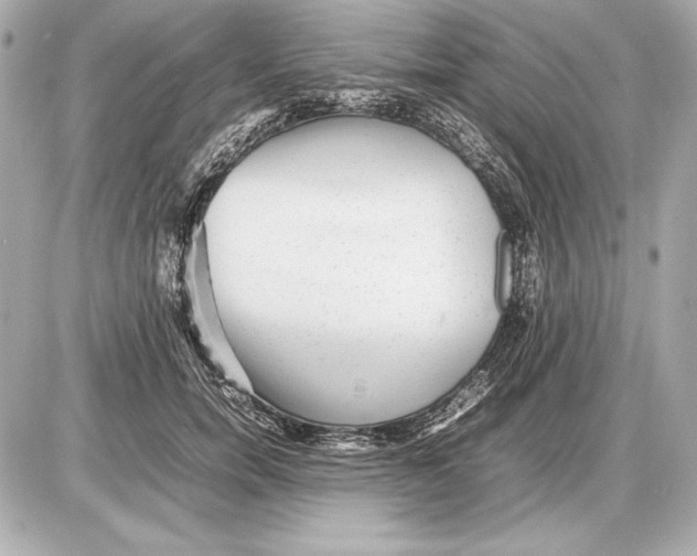 X0000085830750200704091657