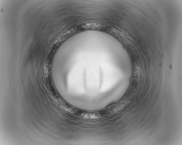 X0000085830751200704091657