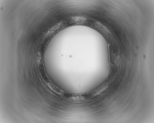 X0000085830752200704091657