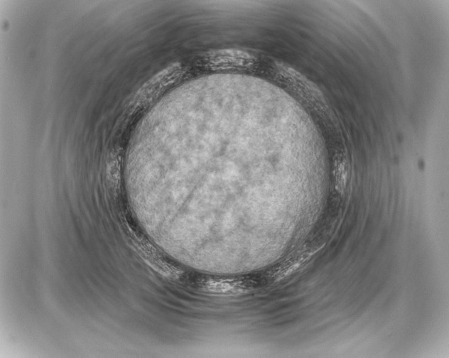 X0000085830753200704091657