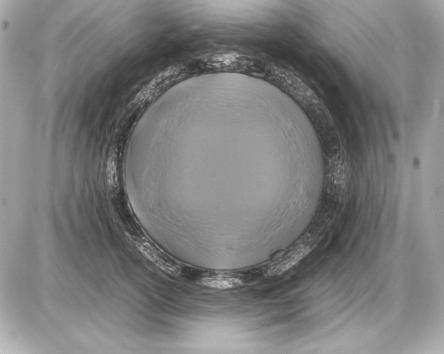 X0000085830754200704091657