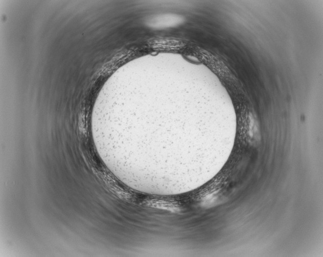 X0000085830755200704091657